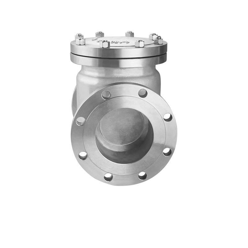 flanged-check-valve-ss-check-valve-china-manufacturers-suppliers